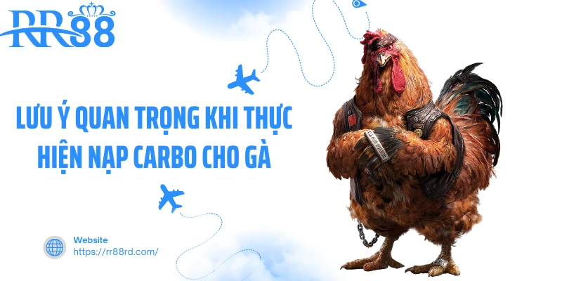 Lưu ý quan trọng khi thực hiện nạp Carbo cho gà Lưu ý quan trọng khi thực hiện nạp Carbo cho gà